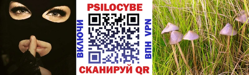 Галлюциногенные грибы MAGIC MUSHROOMS  гидра ссылка  Россошь 